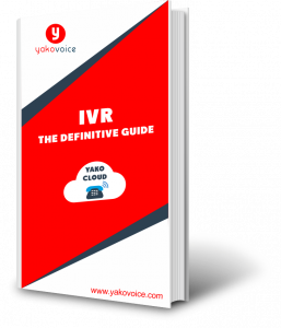 IVR-guide